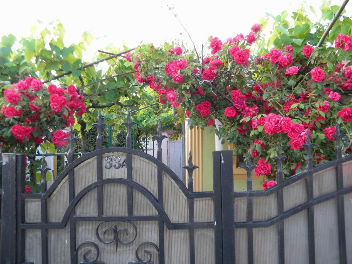 Отель Delta Florilor Сулина Экстерьер фото