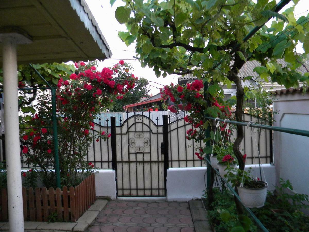 Отель Delta Florilor Сулина Экстерьер фото