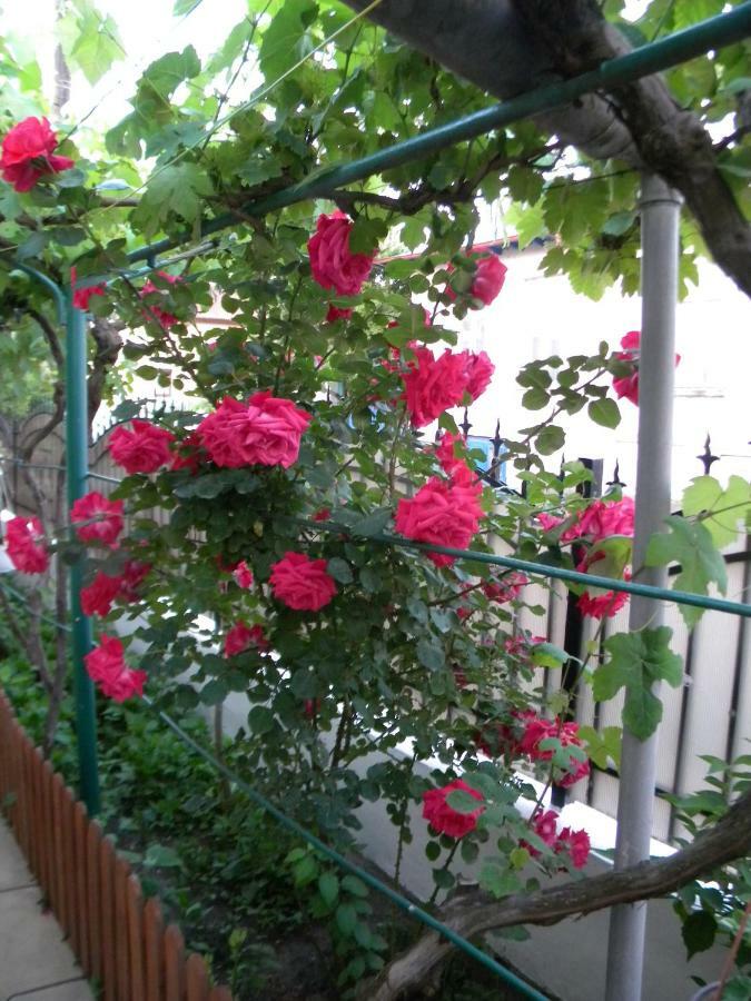 Отель Delta Florilor Сулина Экстерьер фото